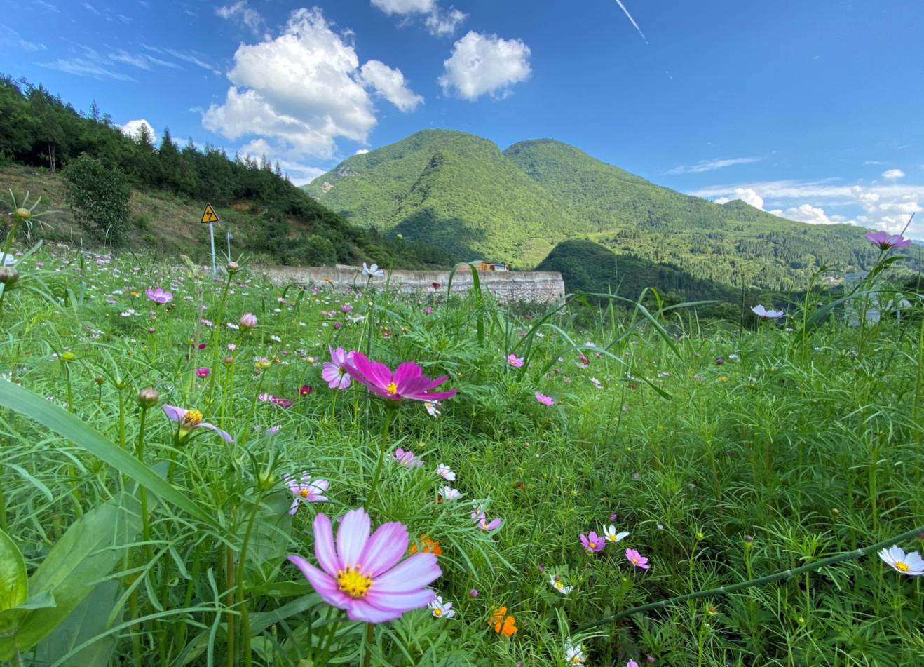 相约清凉避暑2日游！自驾醉美云雾仙境，贵州“香格里拉”
