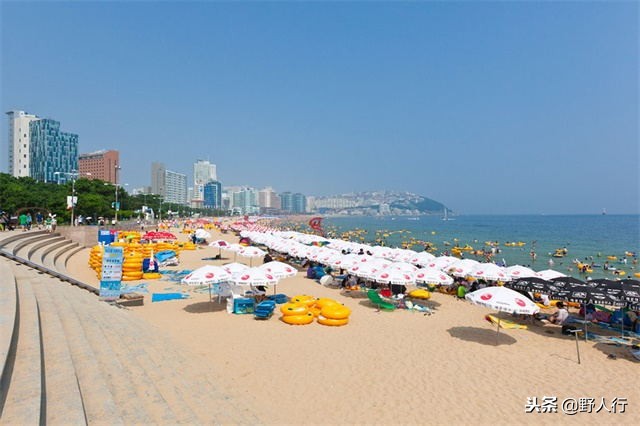 刚刚开放韩国旅游，就去丢人！韩国又一个标语让国人脸红