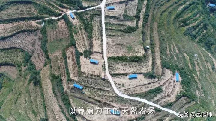 女主播探秘,女主播带你走进神秘直播间