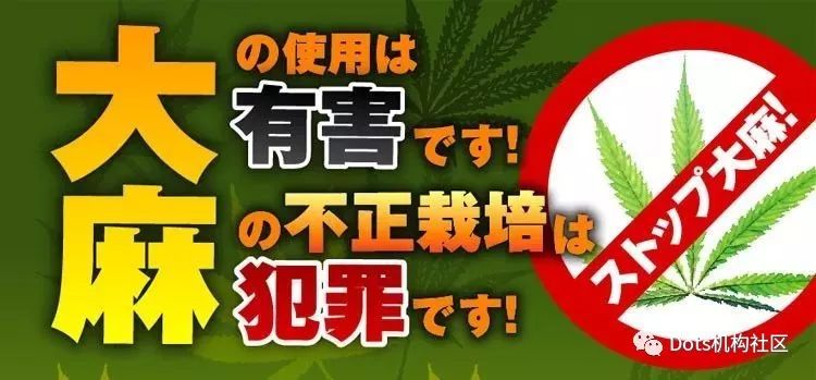走进日本生活种的*麻大**和*麻大**二酚CBD：很少种植，却很多消费？