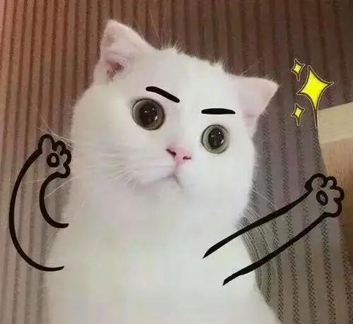 昆山2024春雷行动什么时候结束,昆山春雷