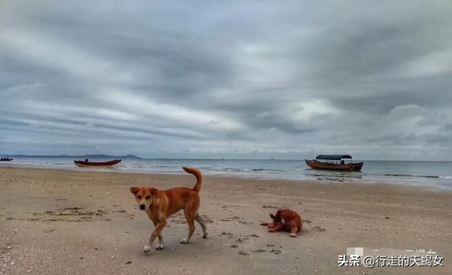 五十六个民族里唯一的水上民族,中国55个少数民族之外的民族