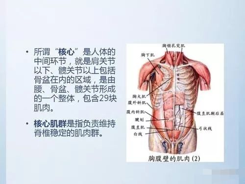 缓解腰痛？试试这些瑜伽练习，从根本上强健核心保护腰椎