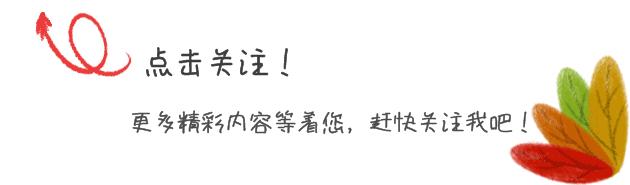 北美冬青耐阴么,北美冬青为什么这么贵