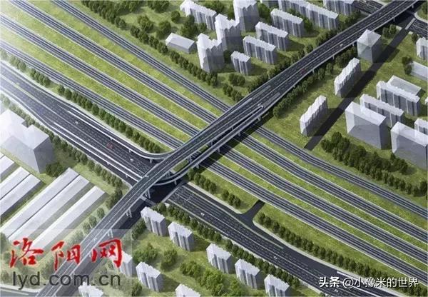 河南洛阳发布最新通知,洛阳牡丹花会向全世界发出邀请