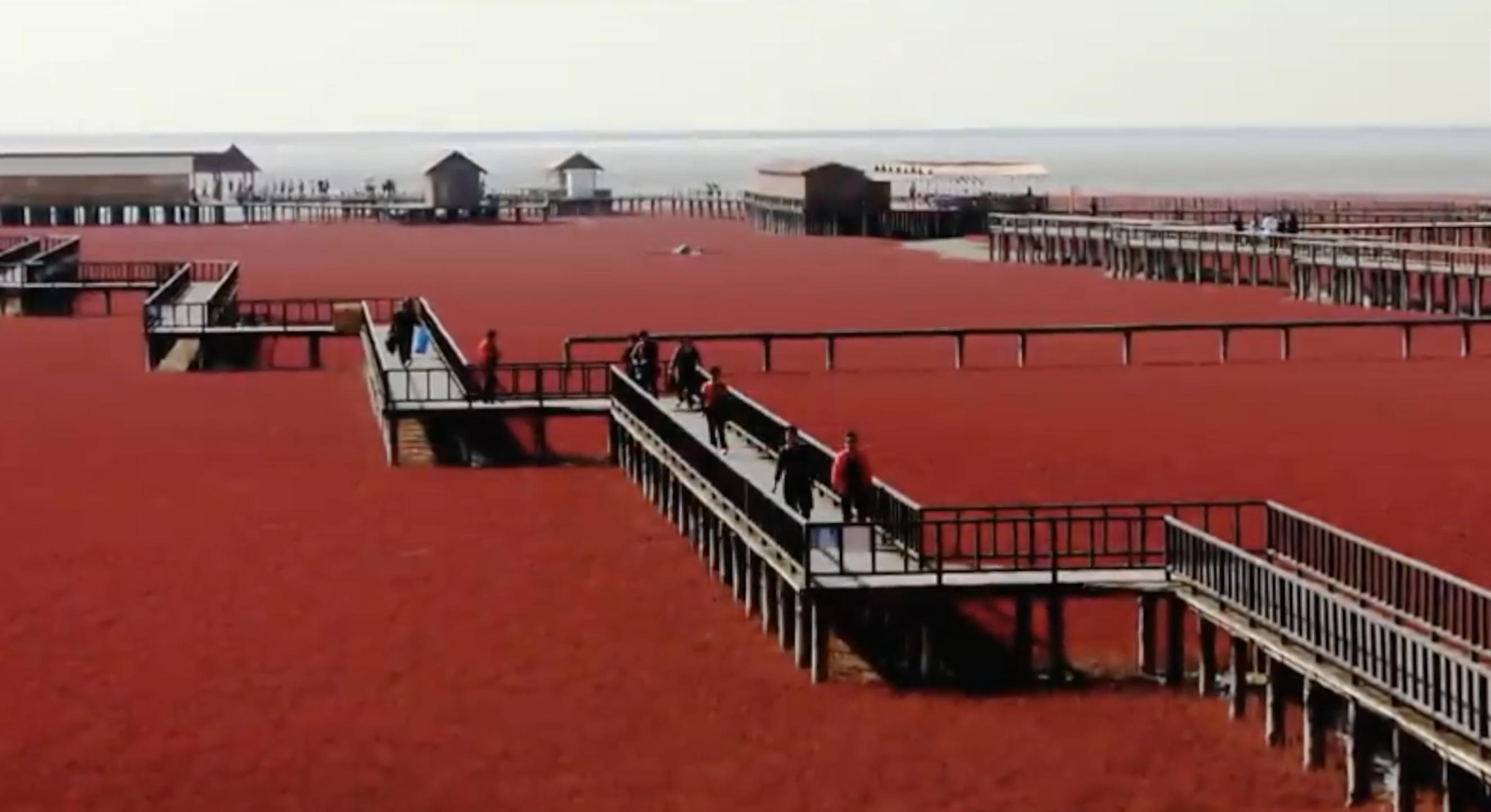 地球距离最近的类地行星,地球上的十大危险行星