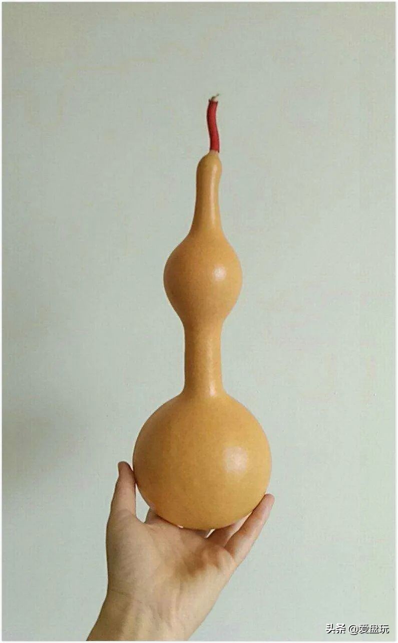 一把葫芦卖到上千上万，连种子都“千金难求”