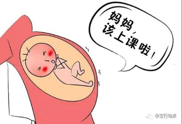 孕期周刊，第十三周