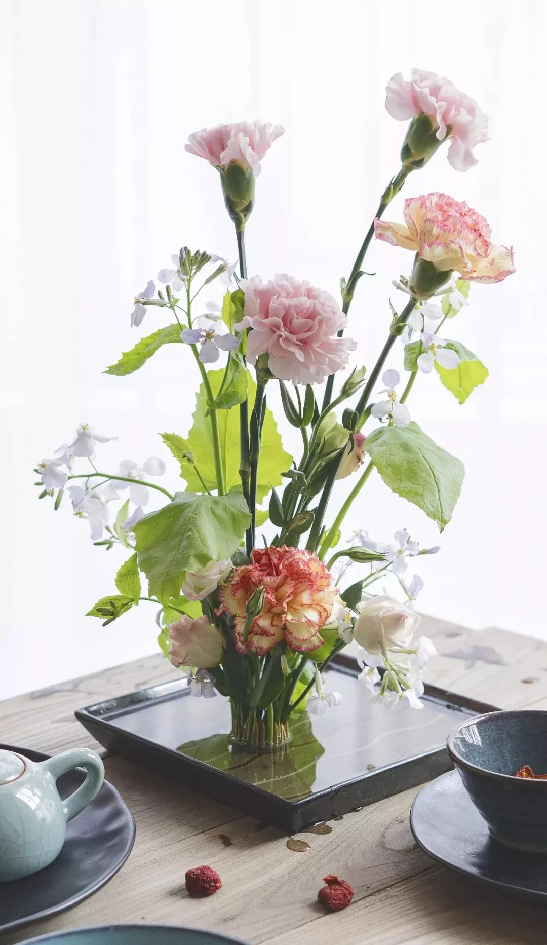 每日送花花语,花语大全送花的讲究