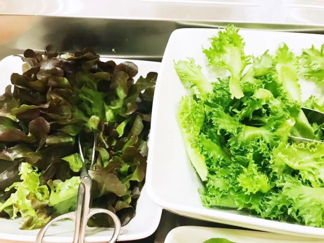 泰国清迈特产水果,泰国清迈的玫瑰