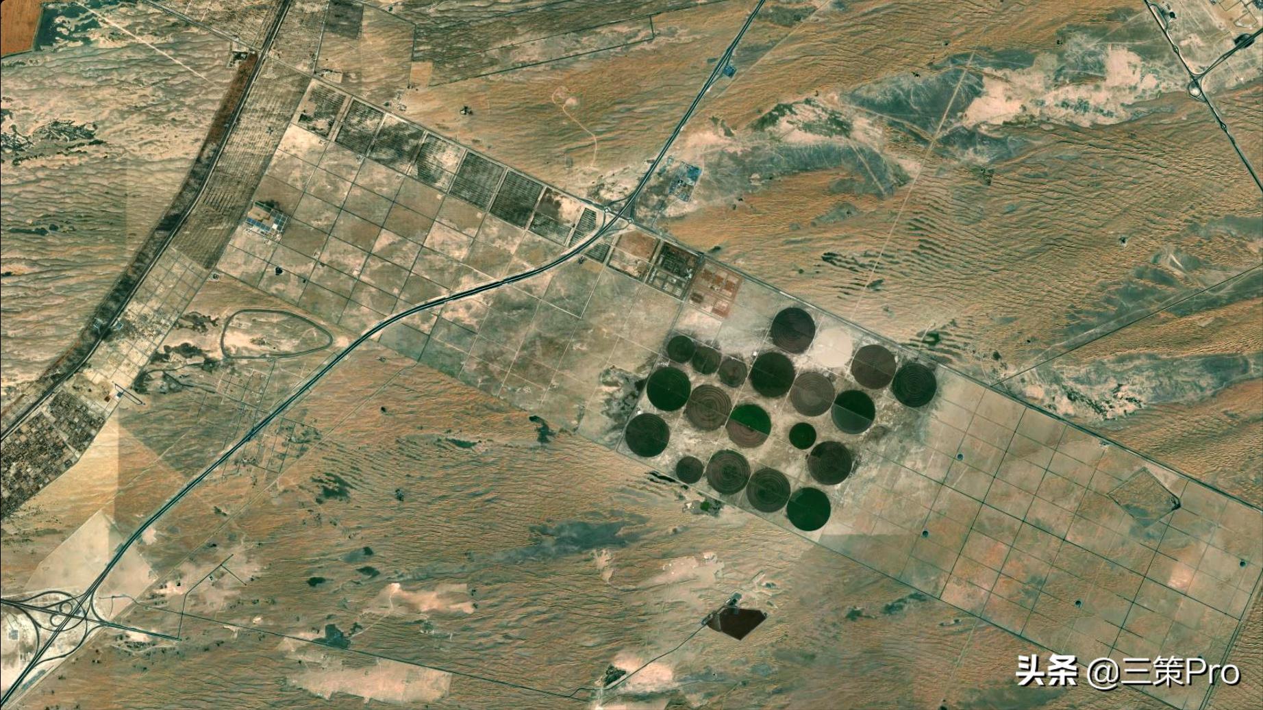 沙漠玫瑰阿拉伯视频,沙漠玫瑰在阿联酋