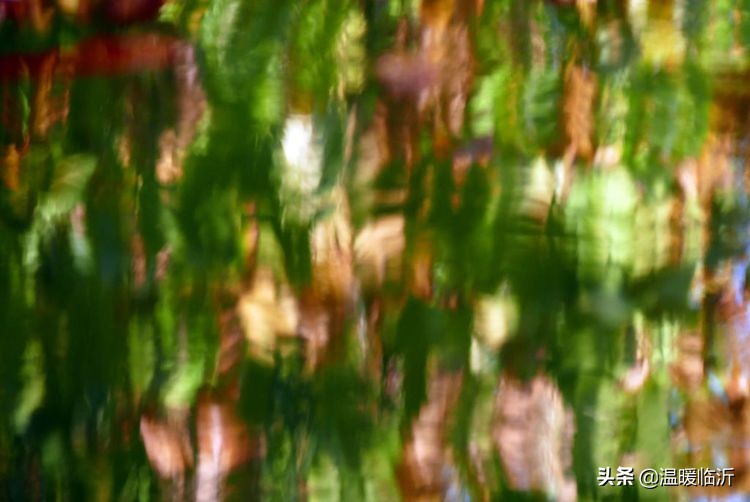 竹泉村景区,最美竹泉村