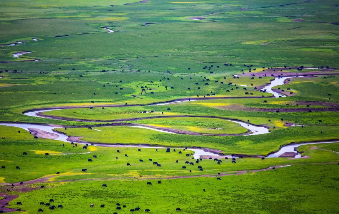 浙商30强有哪些公司,浙商500强企业排名