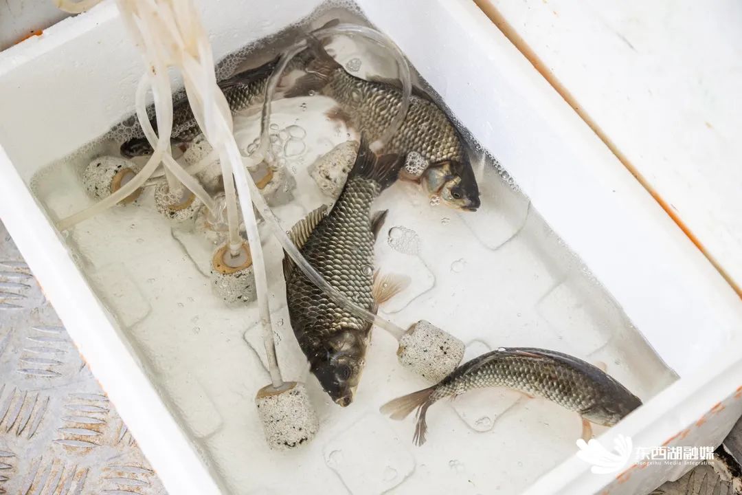 武汉常青花园封闭,常青花园四村禁止进小区吗