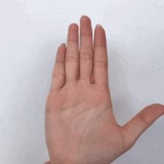 脱发为什么会丑,原来你的头发是这样长出来的