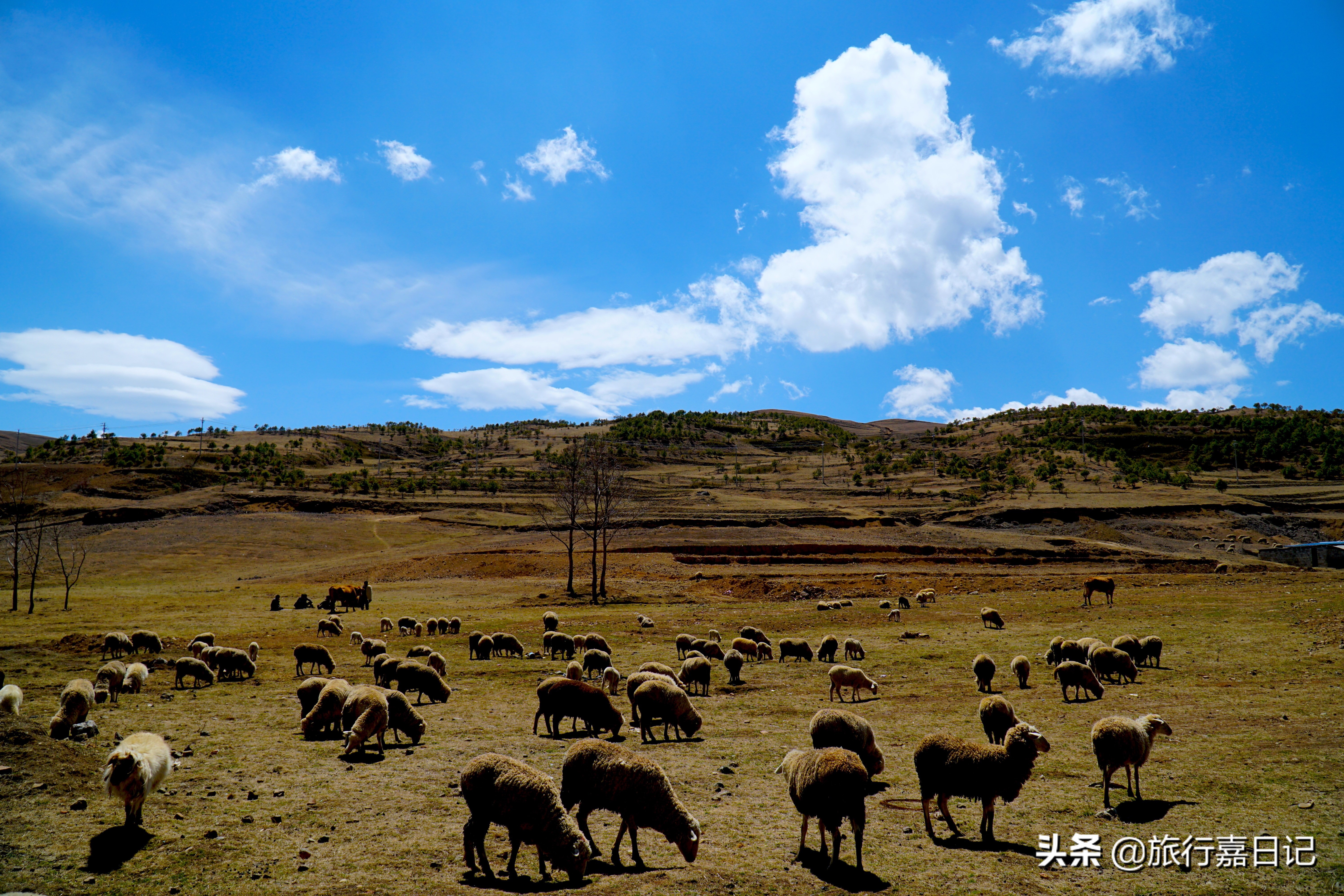 重庆到云南自驾游攻略最佳线路图,重庆到云南旅游500元跟团靠谱吗