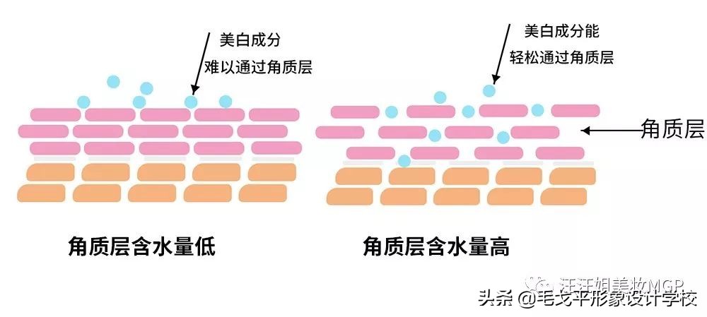 常见美白成分大排名,各种美白成分的美白原理