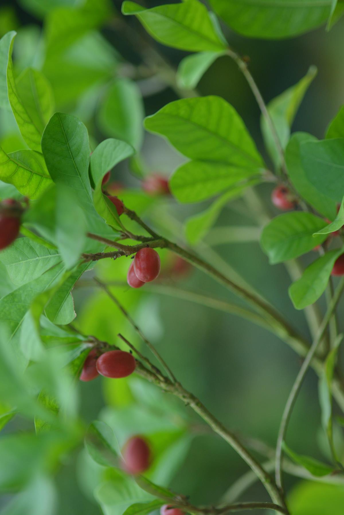 南通绿博园室内,南通绿博园风景