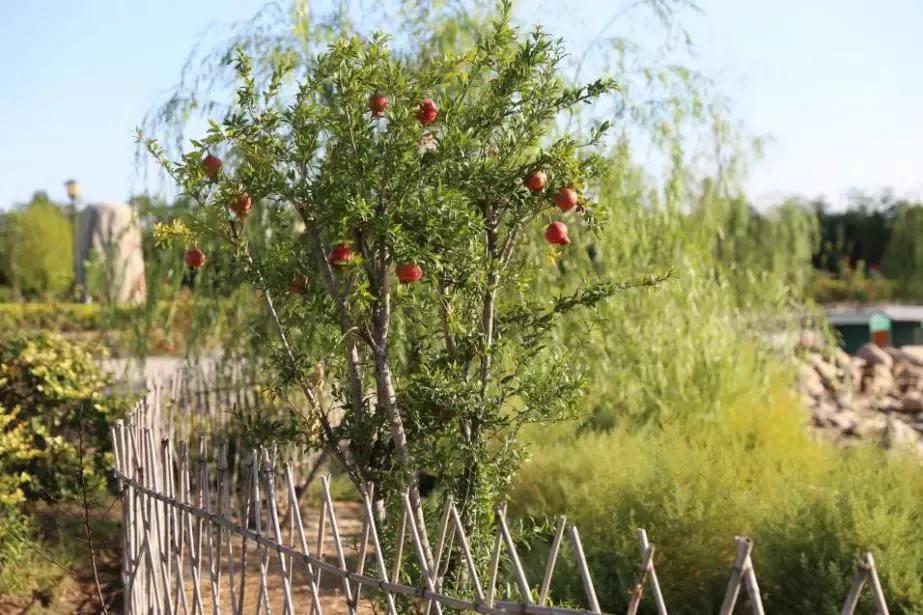 天津医科大学七所直属医院,天津医科大学独立学院是几本