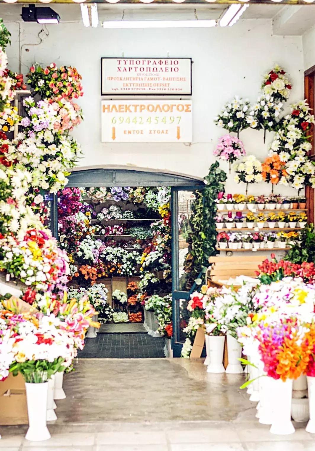 开一个花店指南,如果你也想开一家花店书籍