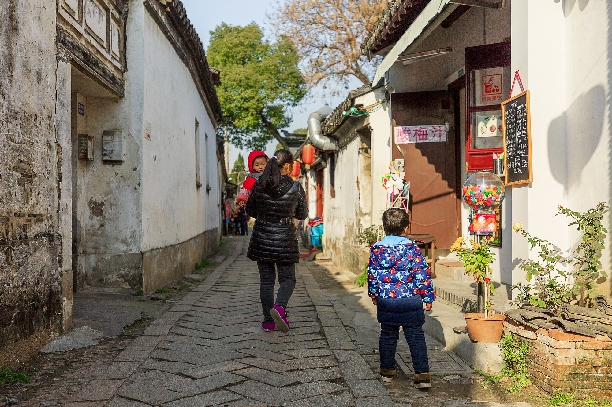 愿为人间客，世世在江南，不如来同里