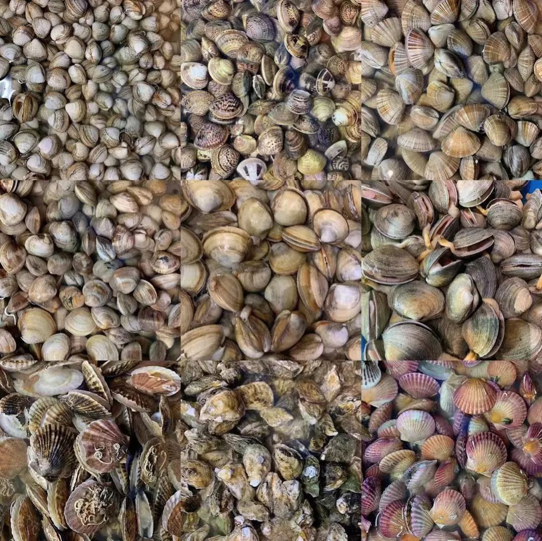 长春十大顶级海鲜自助,长春五星级海鲜自助餐推荐