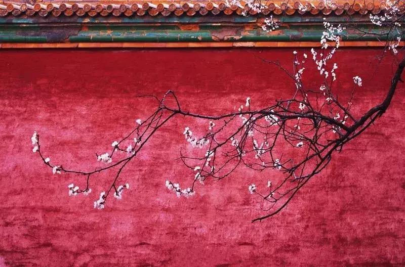 中国古代哲学名言大全,中国古代哲学名言名句汇总