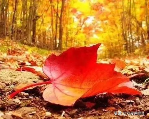 我对的对联在哪里找到,我对的对联