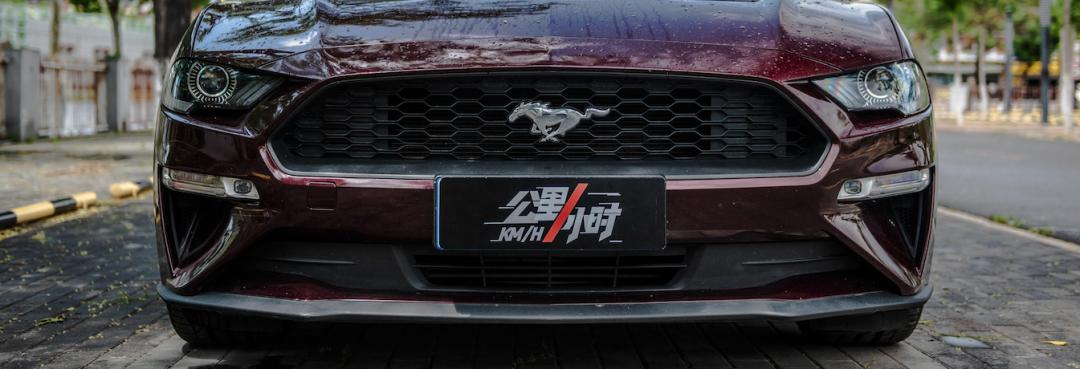 野马2.3t被叫野驴,野马2.3t小野驴