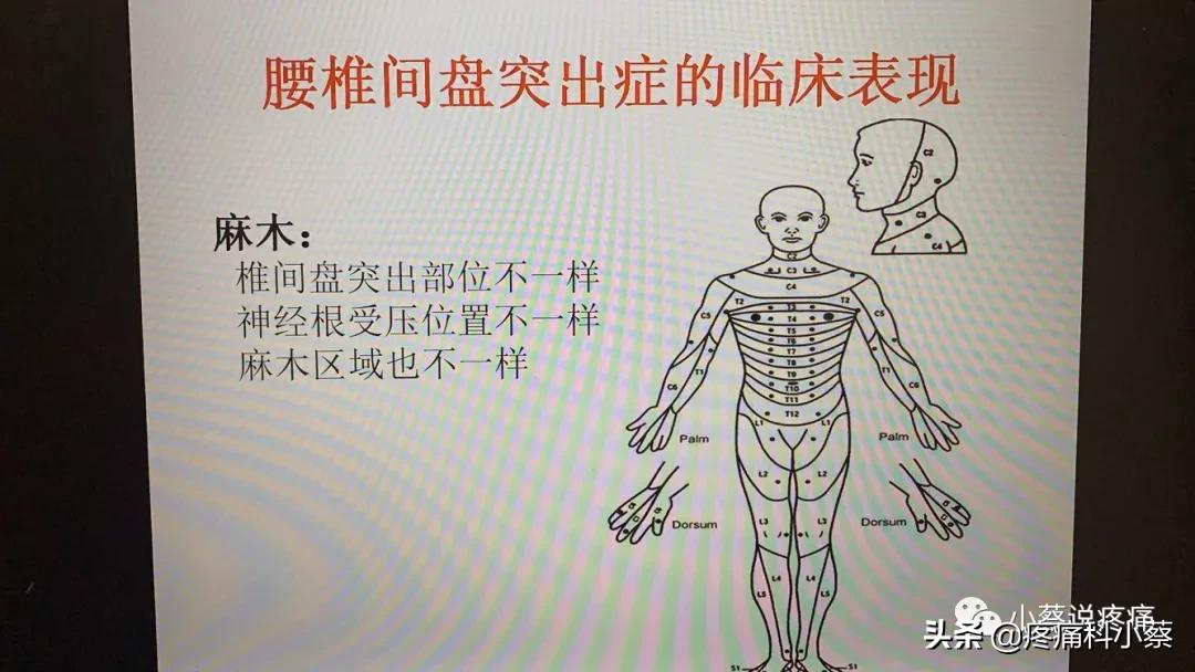 蔡主任讲座视频,蔡主任团队
