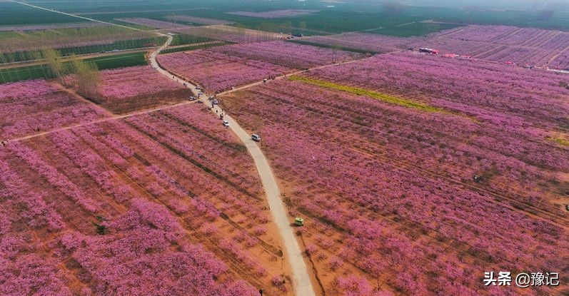 尉氏不涨价的烩面,尉氏烩面汤怎么样和其他烩面区别
