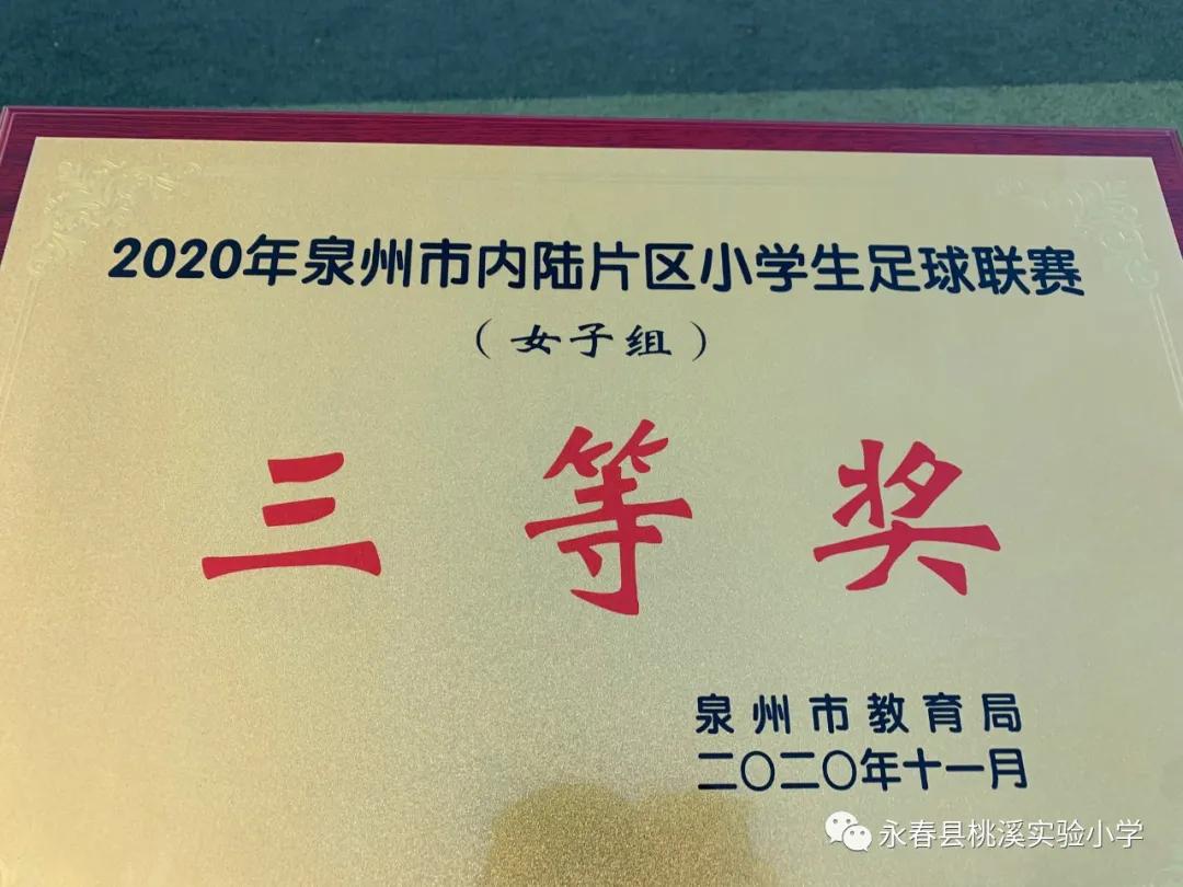 动起来，桃溪少年！——泛阳光体育之舟，展桃溪学子风采