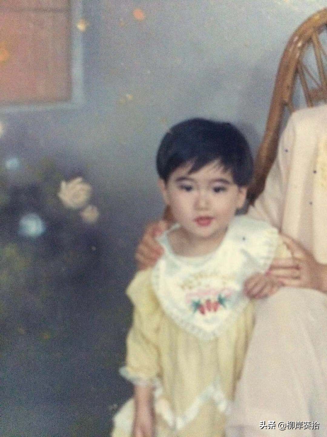 一个柳岸葵拾，串联着L君与小青青的爱与恨，情与怨