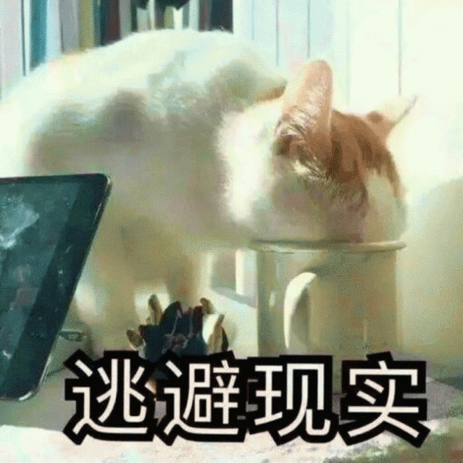 猫咪大了还容易感染猫瘟吗,猫咪不外出被抓伤会得狂犬病吗