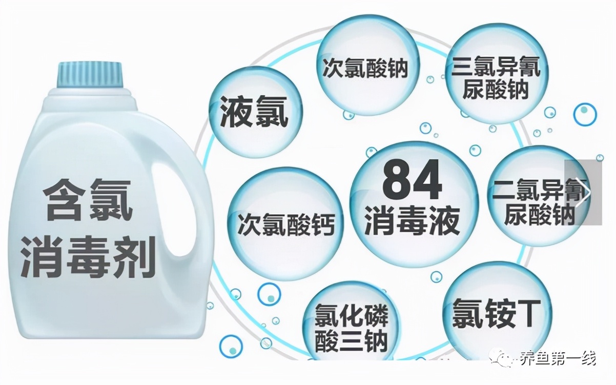 渔药标准解读系列,渔药标准