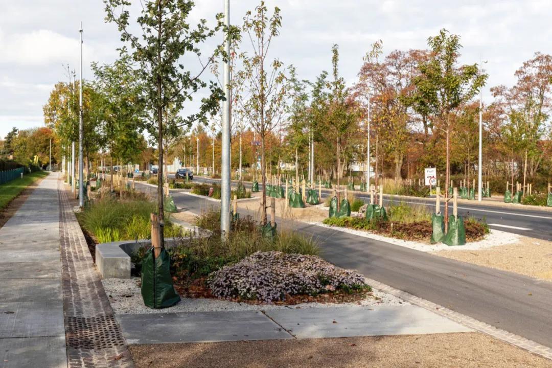 道路设计效果图,个性路面设计