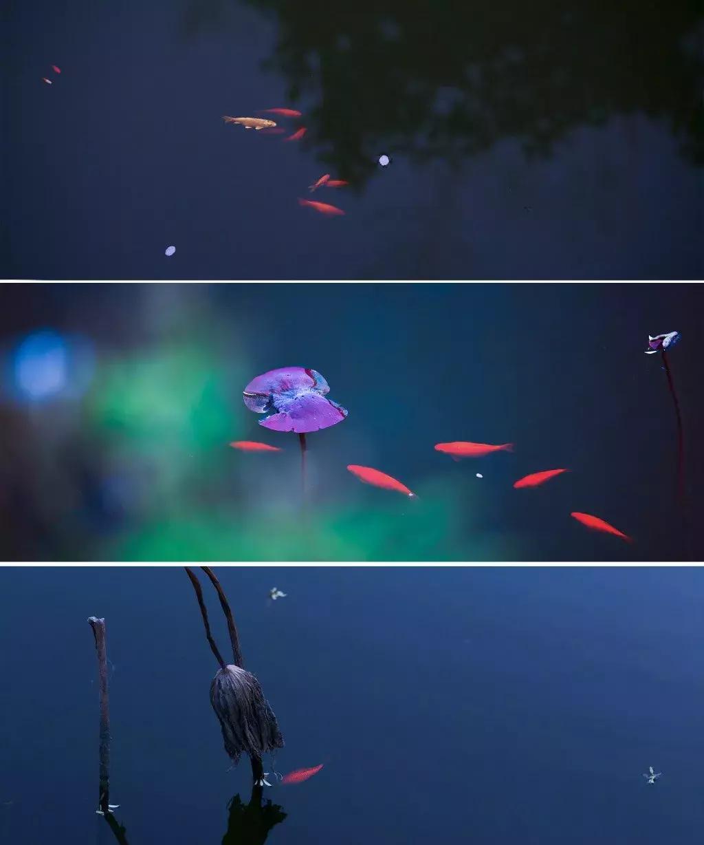 古典意象现代诗,意境深远的现代诗