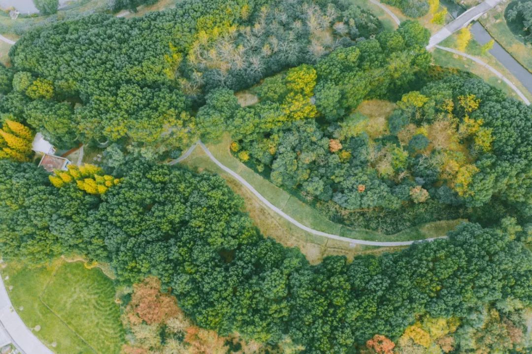 你一定没见过这样的新中式,东方绿舟特点