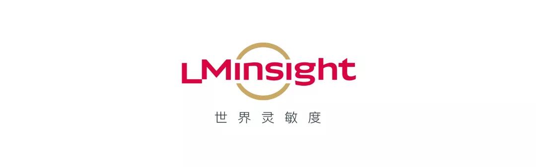 一只毛绒长颈鹿的漫长赴美路