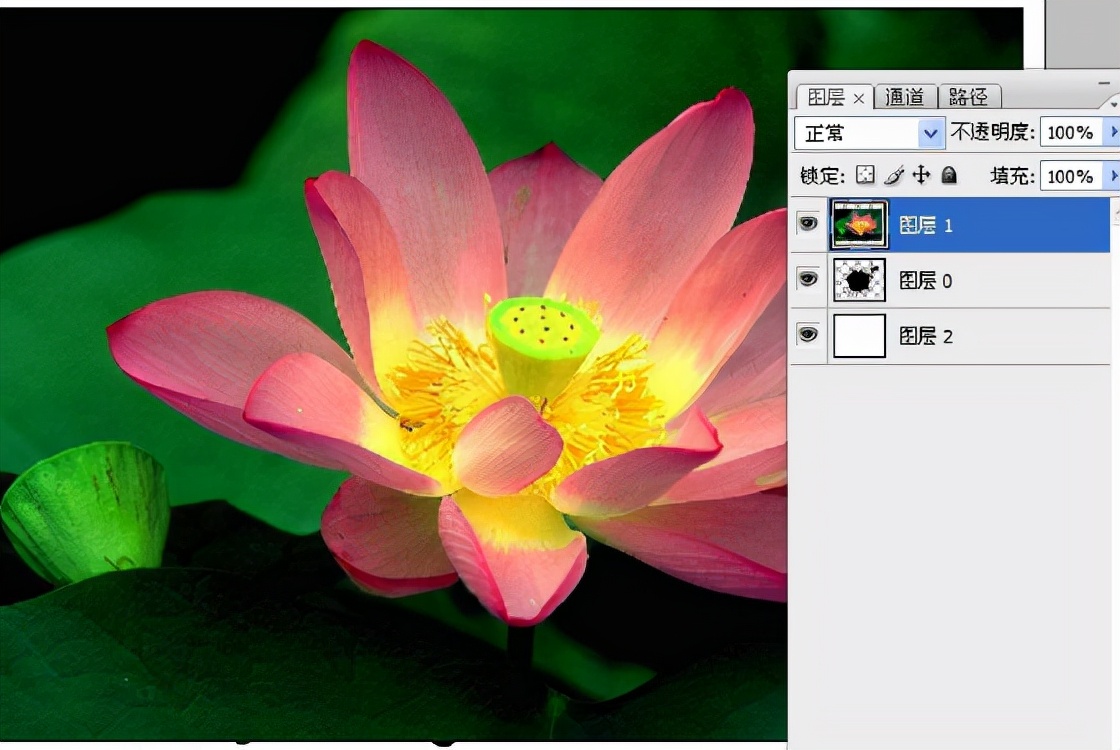 ps新手快速入门一对一教程,ps进阶教程全套免费自学