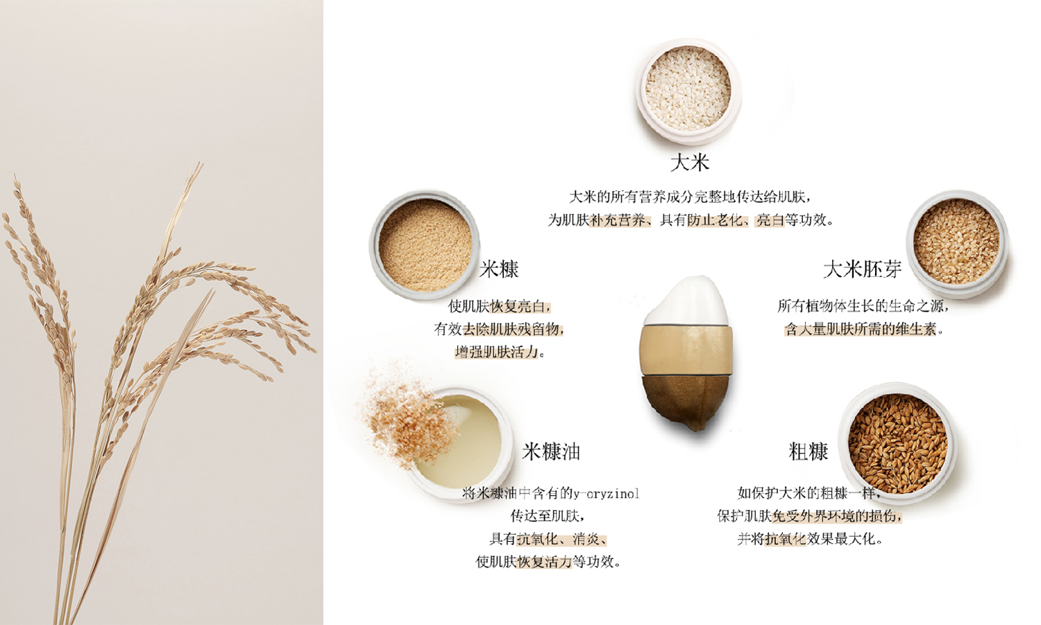 米一途护肤品好用吗,日本百年大米水护肤品