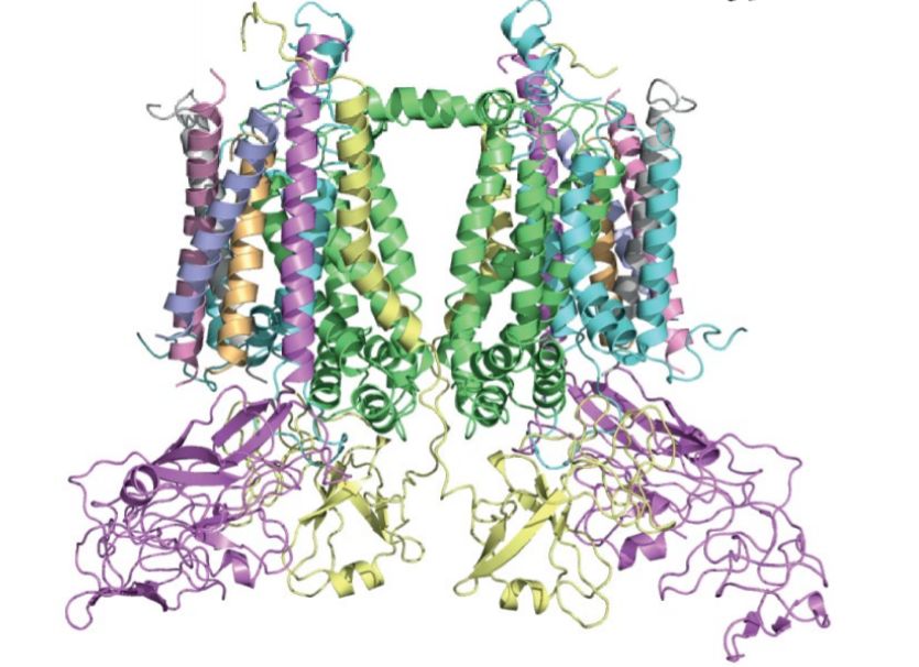 谁再说女孩不适合数学，你把这篇文章糊他脸上|一周科技