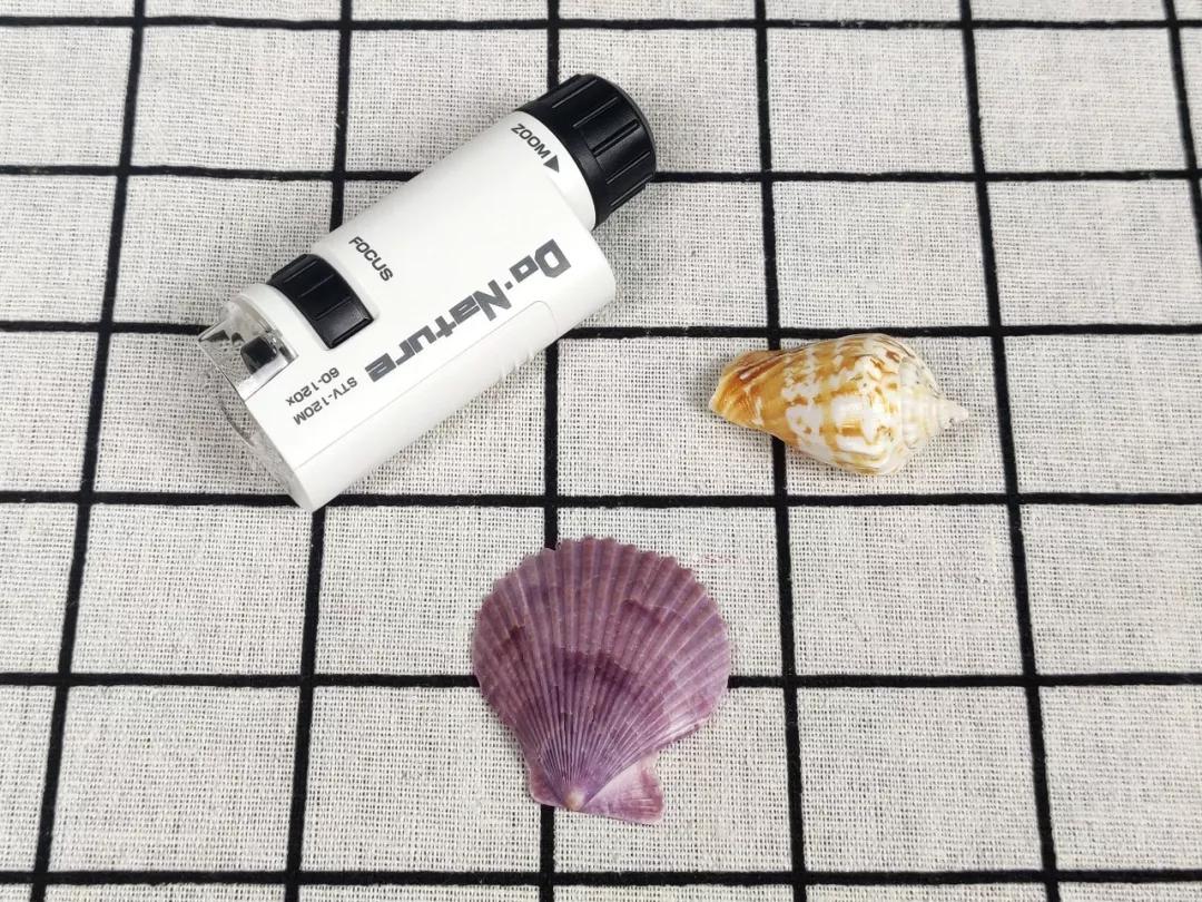 能放大1万亿倍的显微镜,只有一个长筒目镜的显微镜