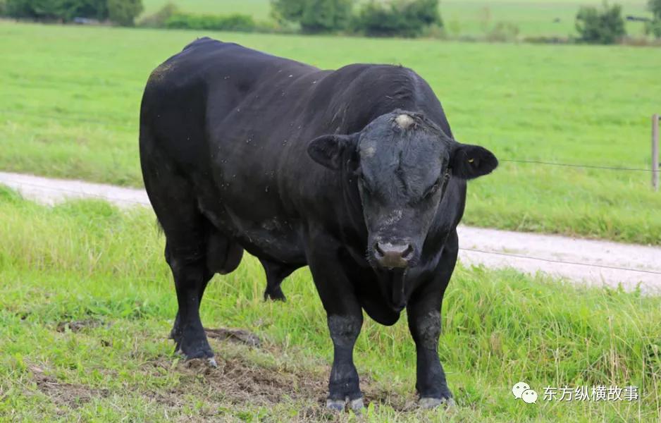 2023年6月15日经济热点话题,6月12日行业热点重要题材