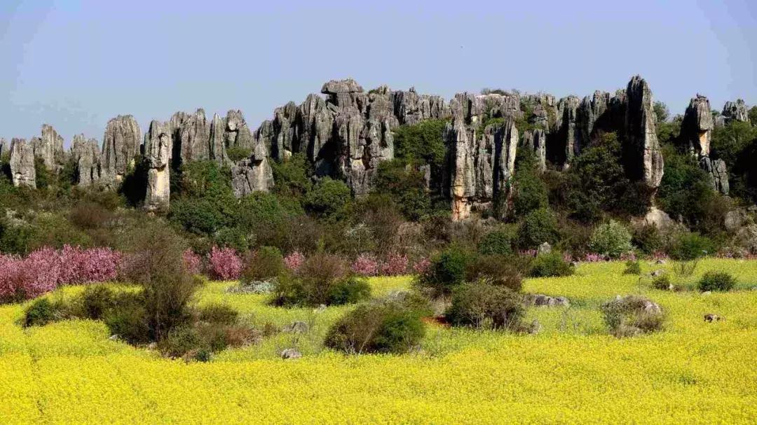 昆明石林景区值得去吗,昆明石林精华景点