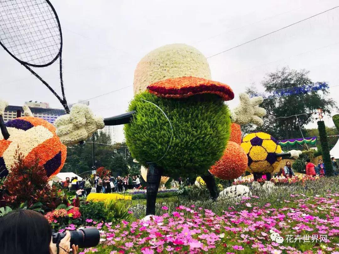 香港花卉艺术展,共赴盛会活动