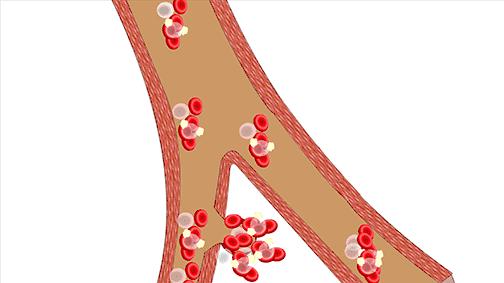 藕粉好消化吗给消化不好的病人喝,消化不好吃什么坚果比较好消化呢