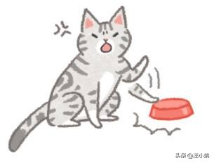 养宠物时出差怎么办,经常出差宠物怎么带