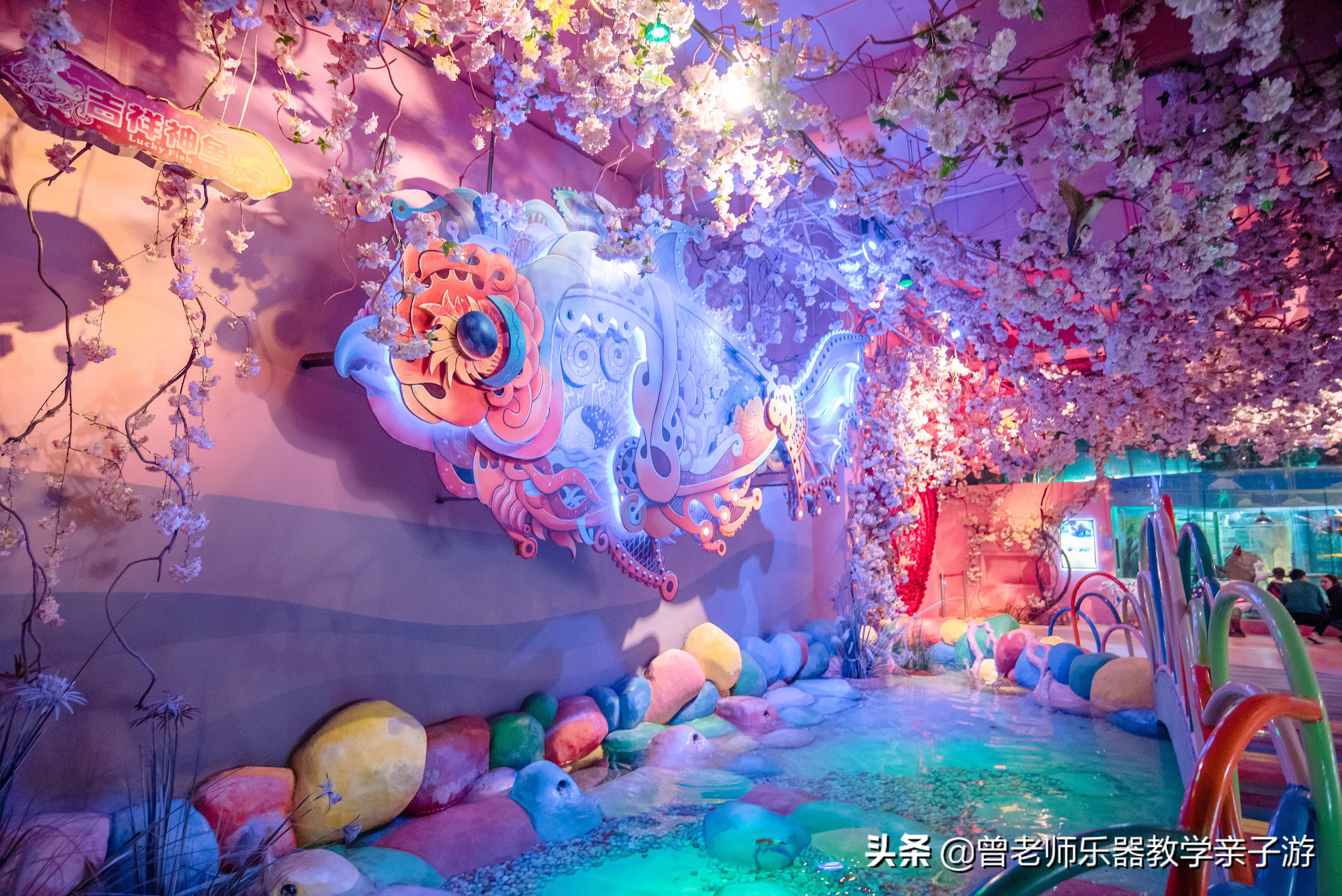 西安太奥海洋馆,西安极地海洋世界海豚表演