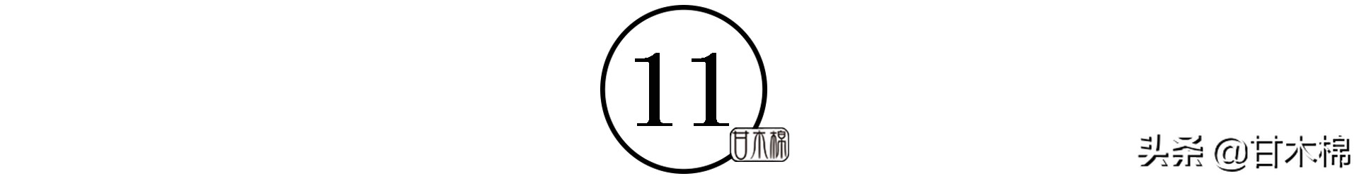 童年野果子,儿时的野果子总让人回味无穷